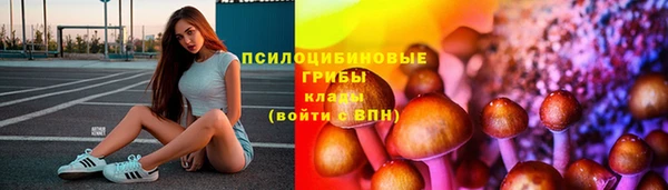 дмт Алзамай