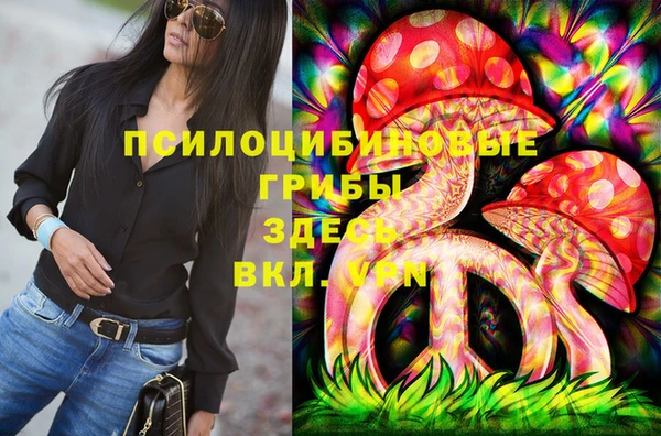 дмт Алзамай